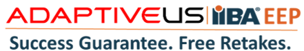Adaptive Logo 2024-2