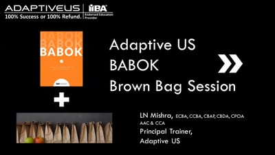 Adaptive US BABOK Brown Bag Session