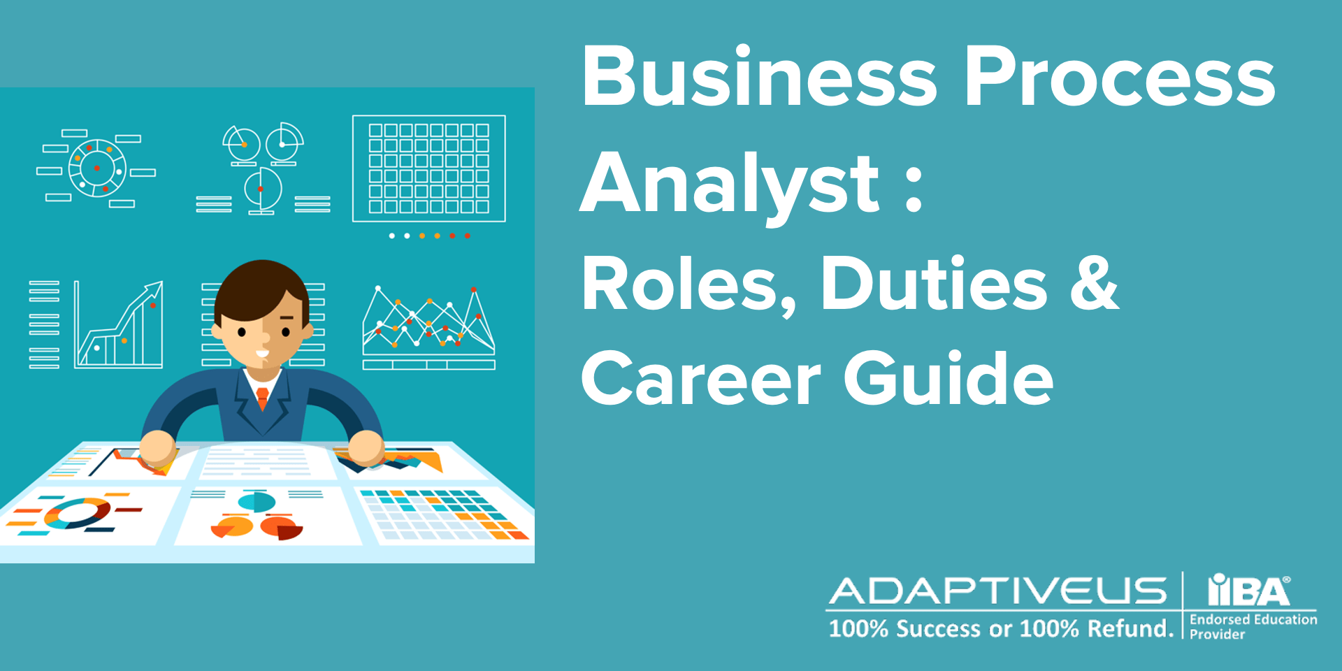 Business Process Analyst- Roles, Duties & Career Guide