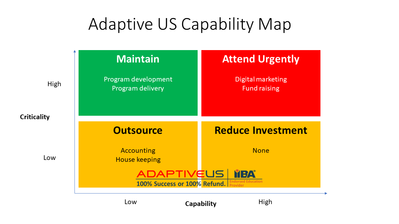 Business capability analysis