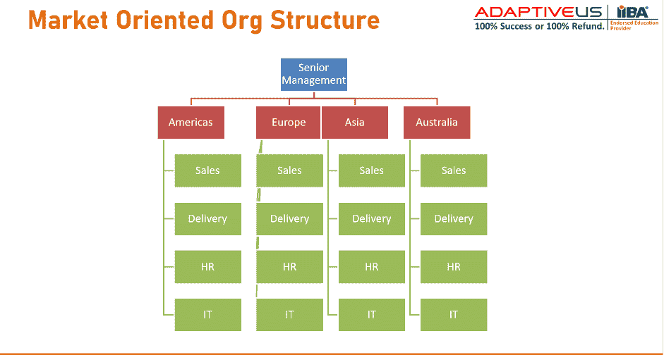 Example of Market-Oriented Org Structure