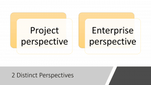 Project Perspective, Enterprise perspective 