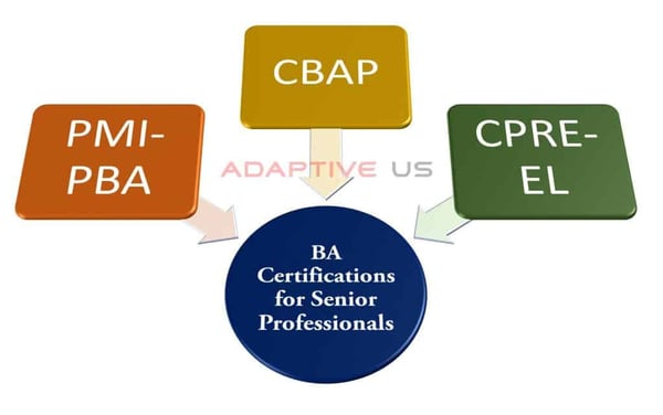 BA Certification for senior professionals