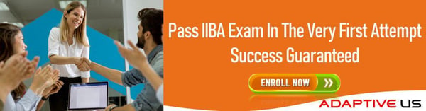 Pass IIBA Exam