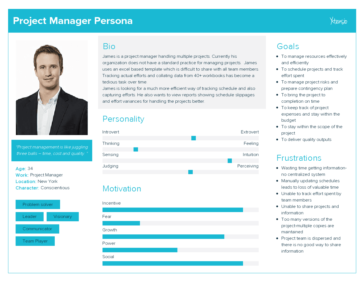Project Manager Persona