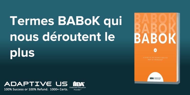 Termes BABoK qui nous déroutent le plus