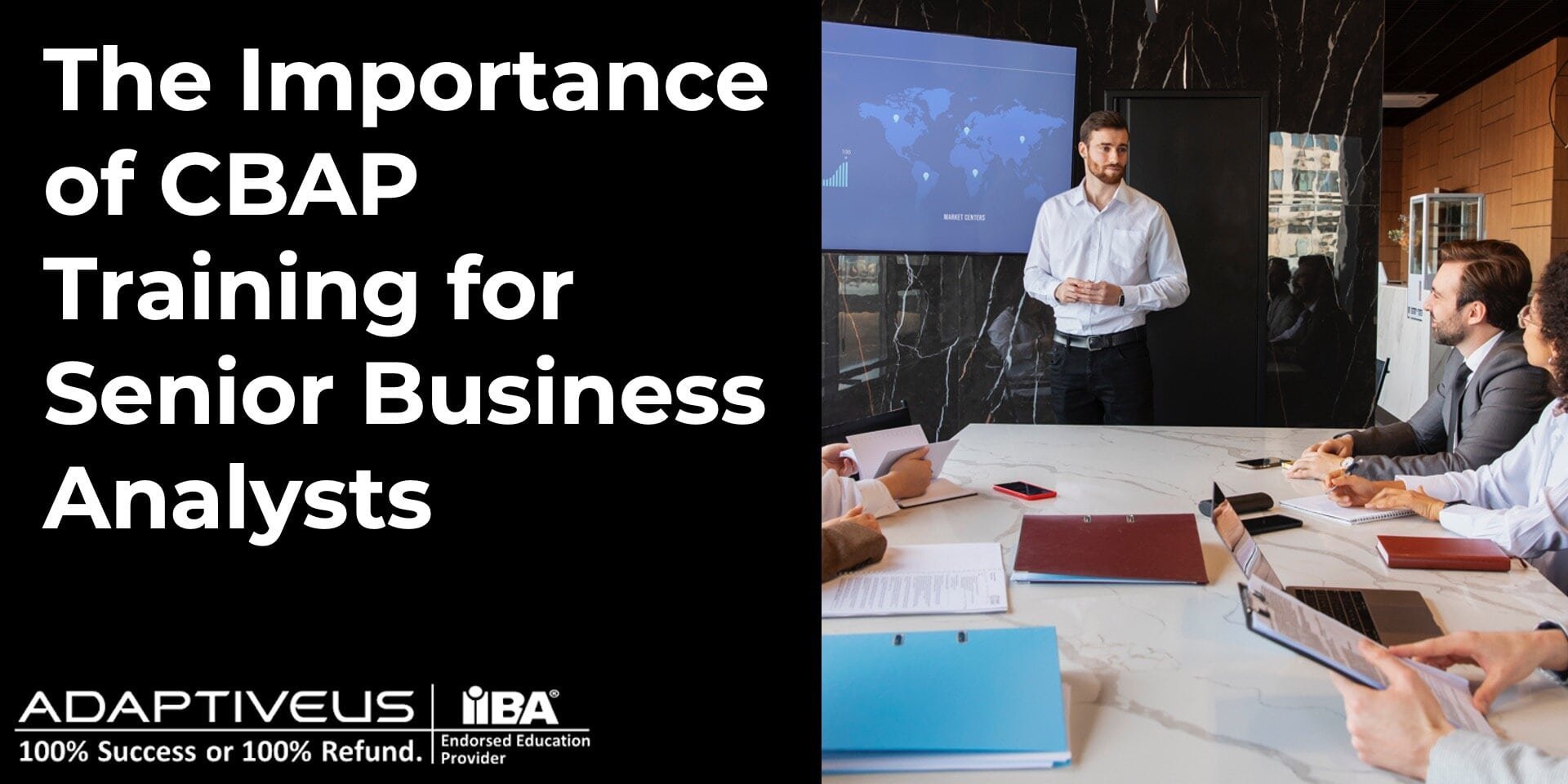 The Importance of CBAP Training for Senior Business Analysts