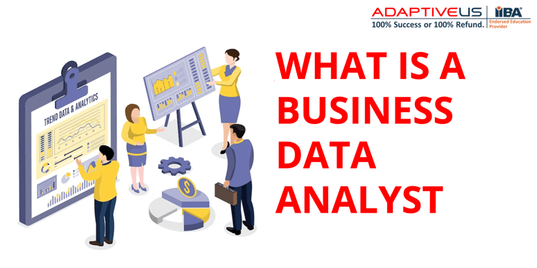 What is a Business Data Analyst