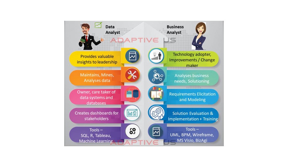 Business Analyst vs Data Analyst - similarities and differences