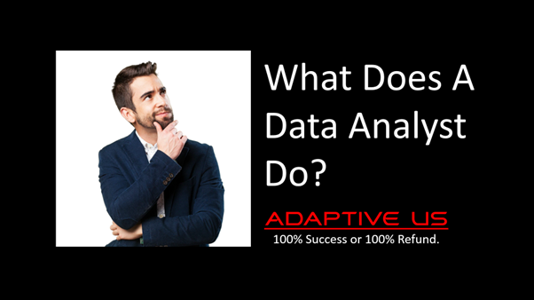 What does a Data Analyst do