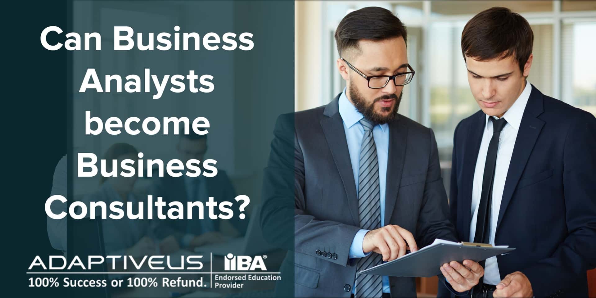 Can BAs become Business Consultants?