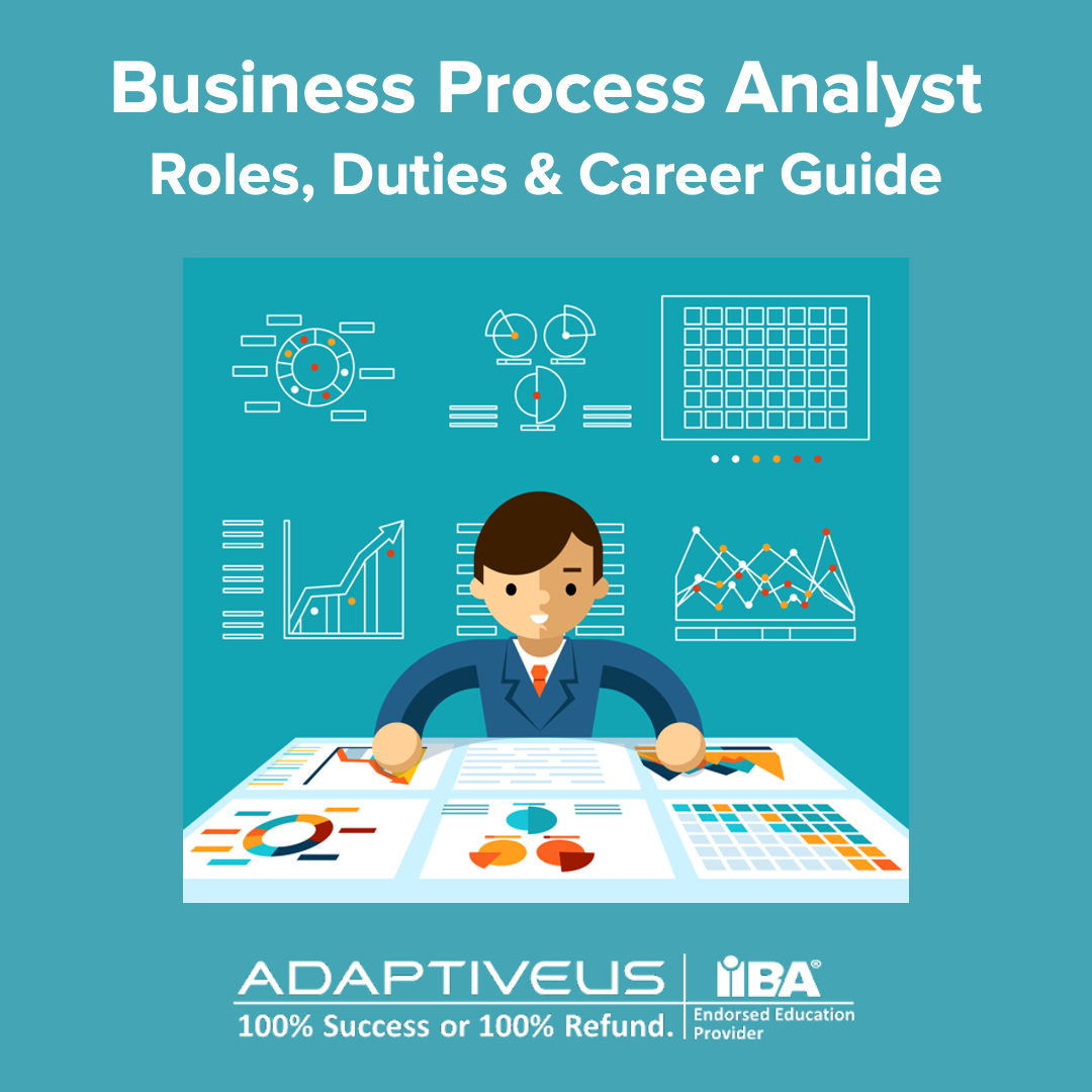 Business Process Analyst: Roles, Duties & Career Guide