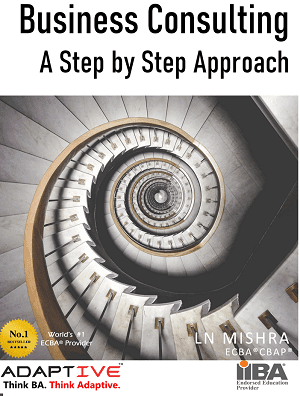 Business consulting 101 Cover page Business consulting 101 Cover page