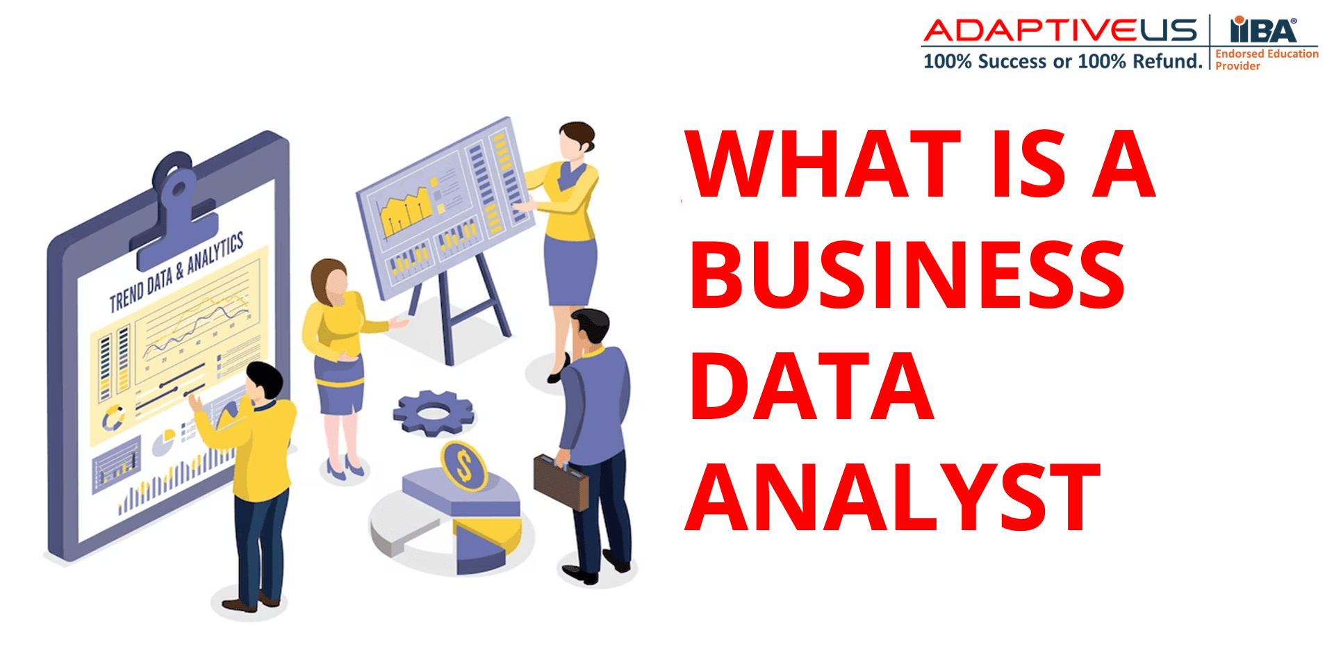 What is a business data analyst